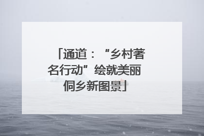 通道：“乡村著名行动”绘就美丽侗乡新图景